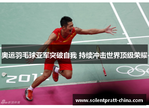奥运羽毛球亚军突破自我 持续冲击世界顶级荣耀
